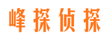 南召市侦探调查公司